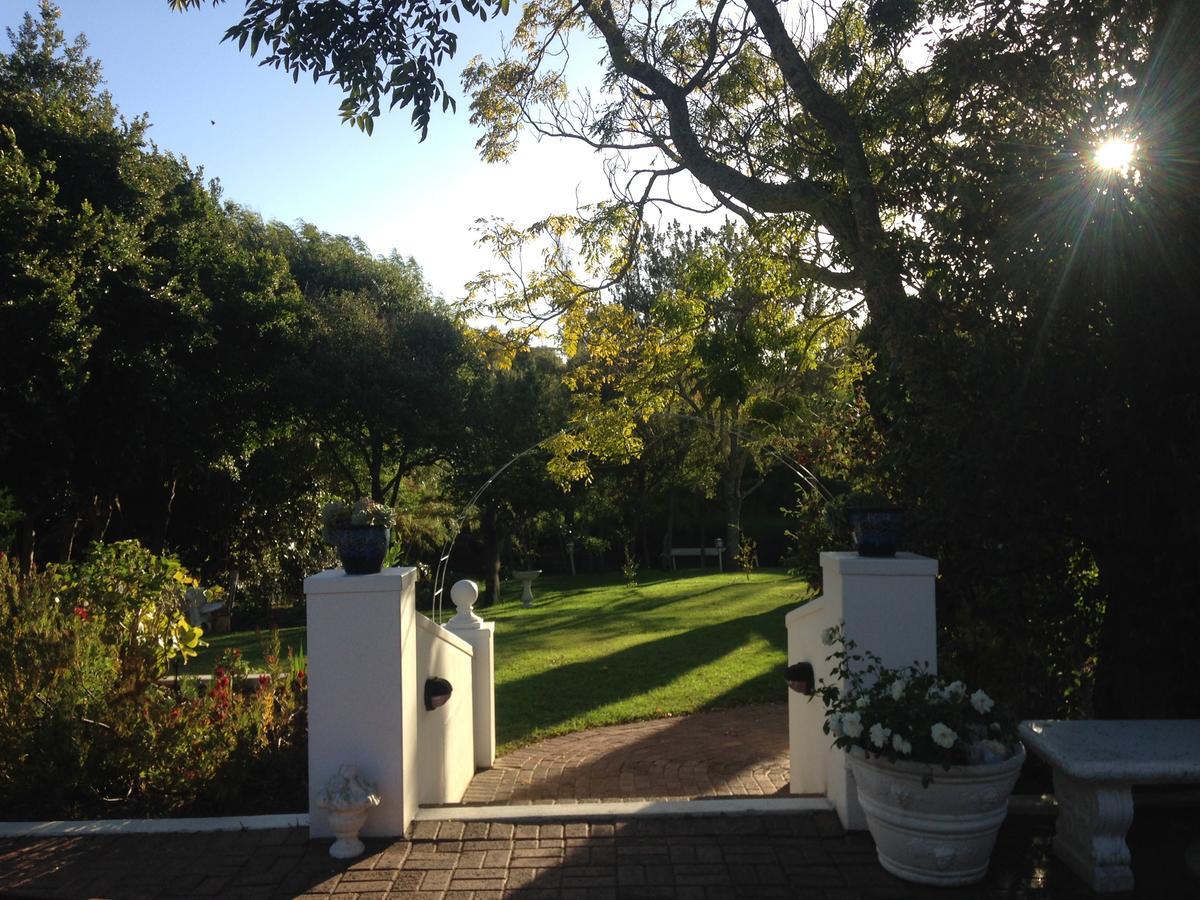 Constantia Spring Bed and Breakfast Eksteriør billede
